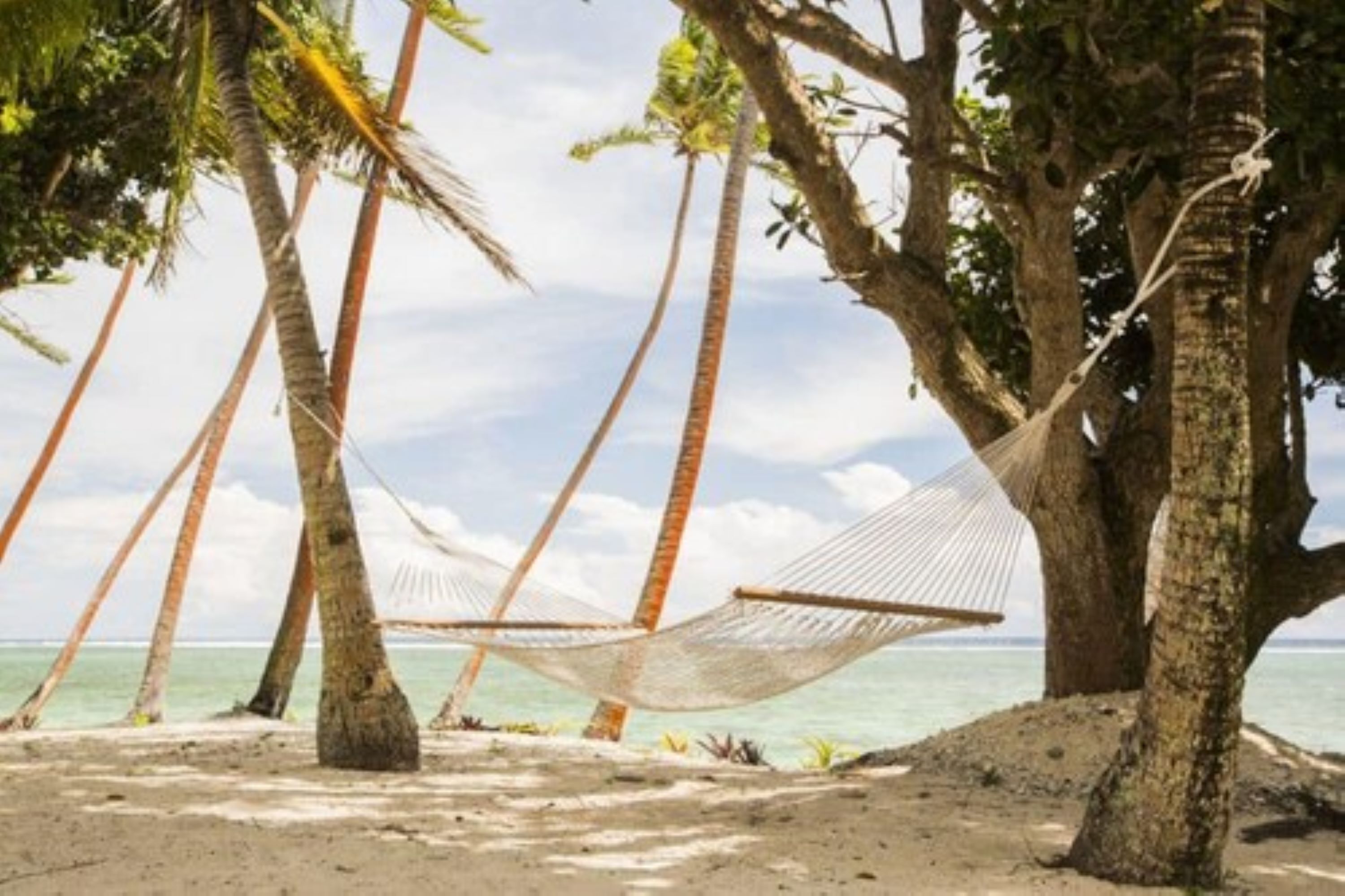 Een hangmat tussen palmbomen aan een zanderig strand, met de oceaan op de achtergrond.