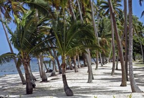 Exterior - Tambua Sands Beach Resort - Adults Only (Korolevu)