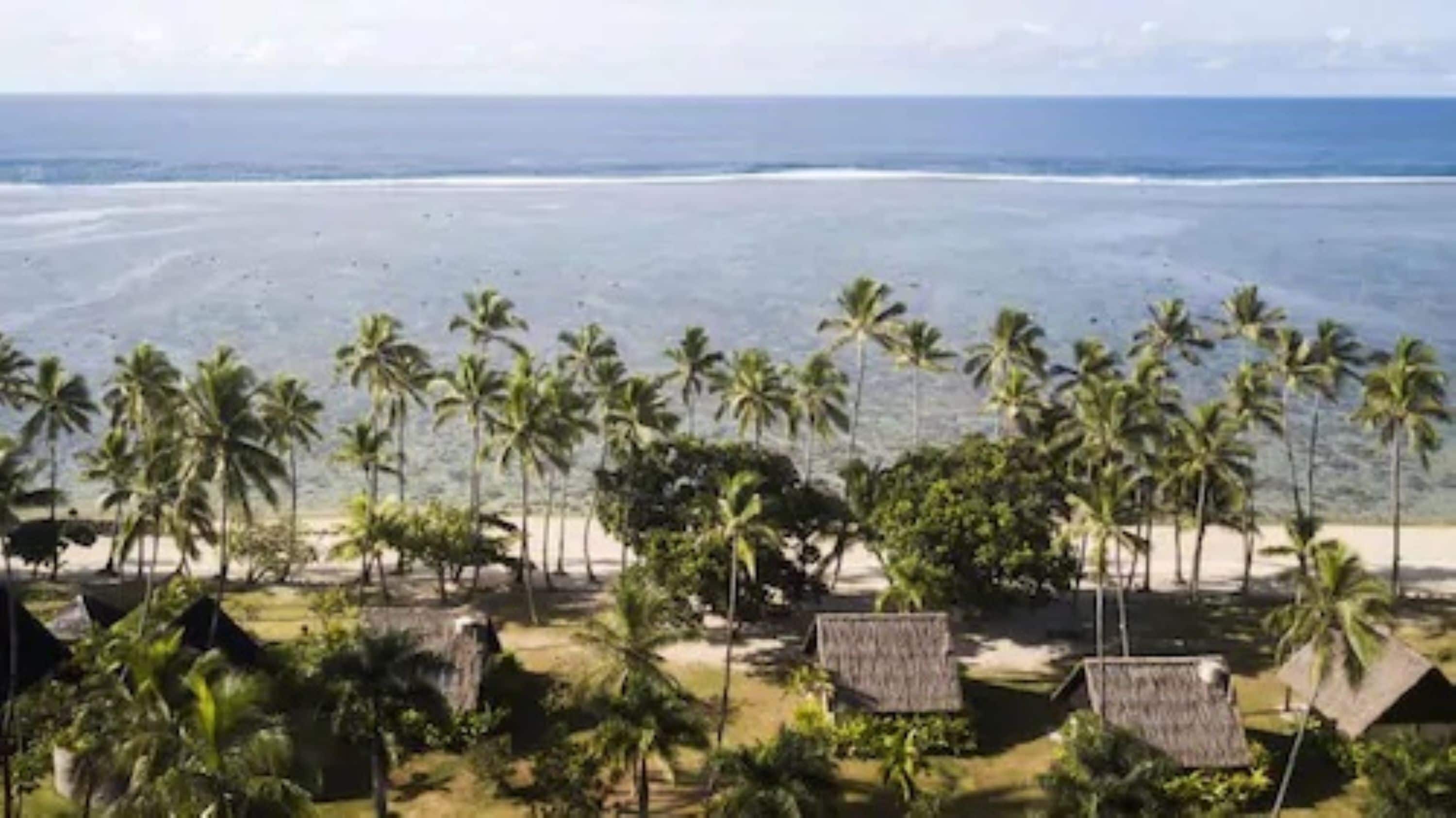 A beach view with palm trees and thatched-roof huts.
