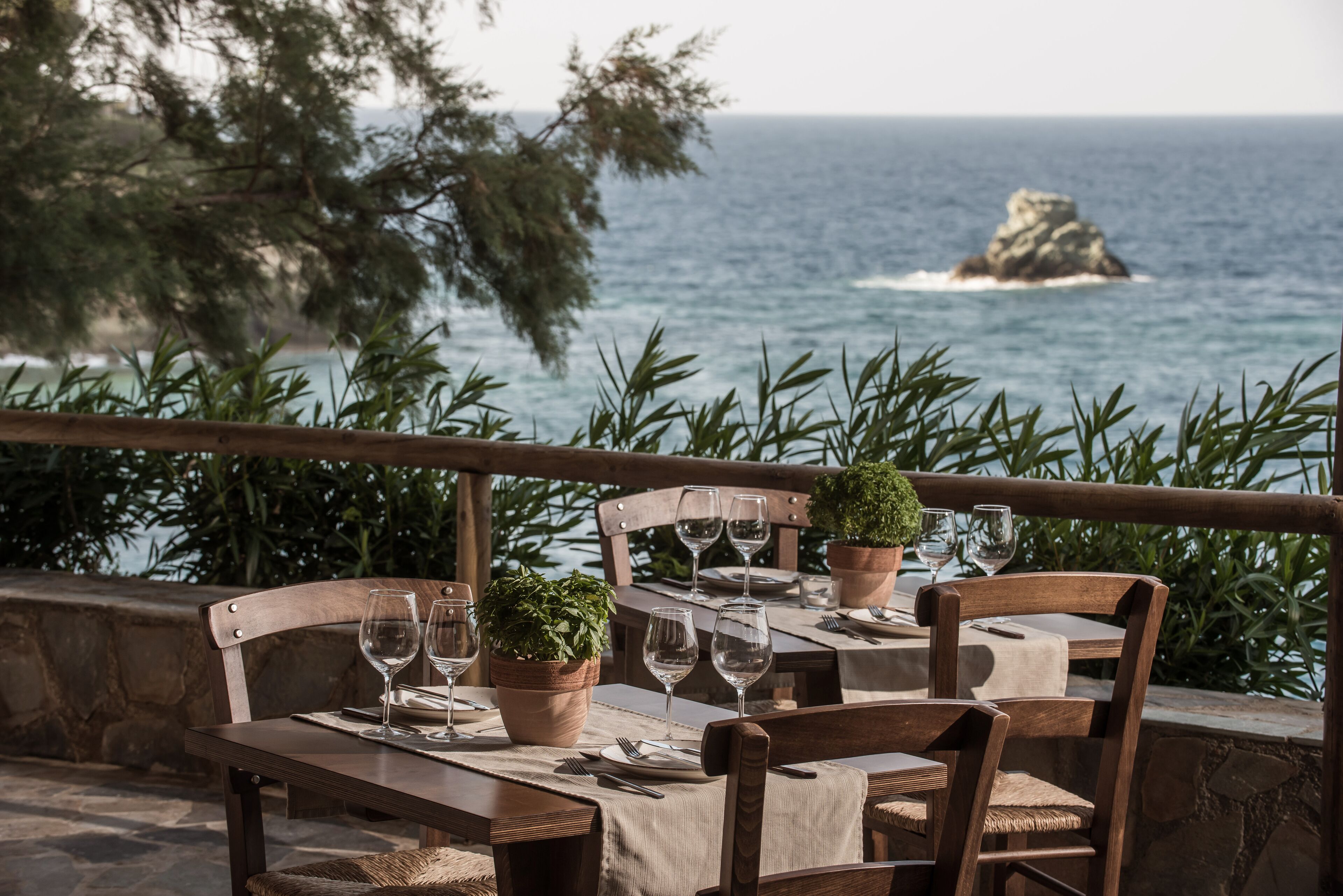 2 restaurantes, se sirven desayunos, comidas, cenas y cocina griega