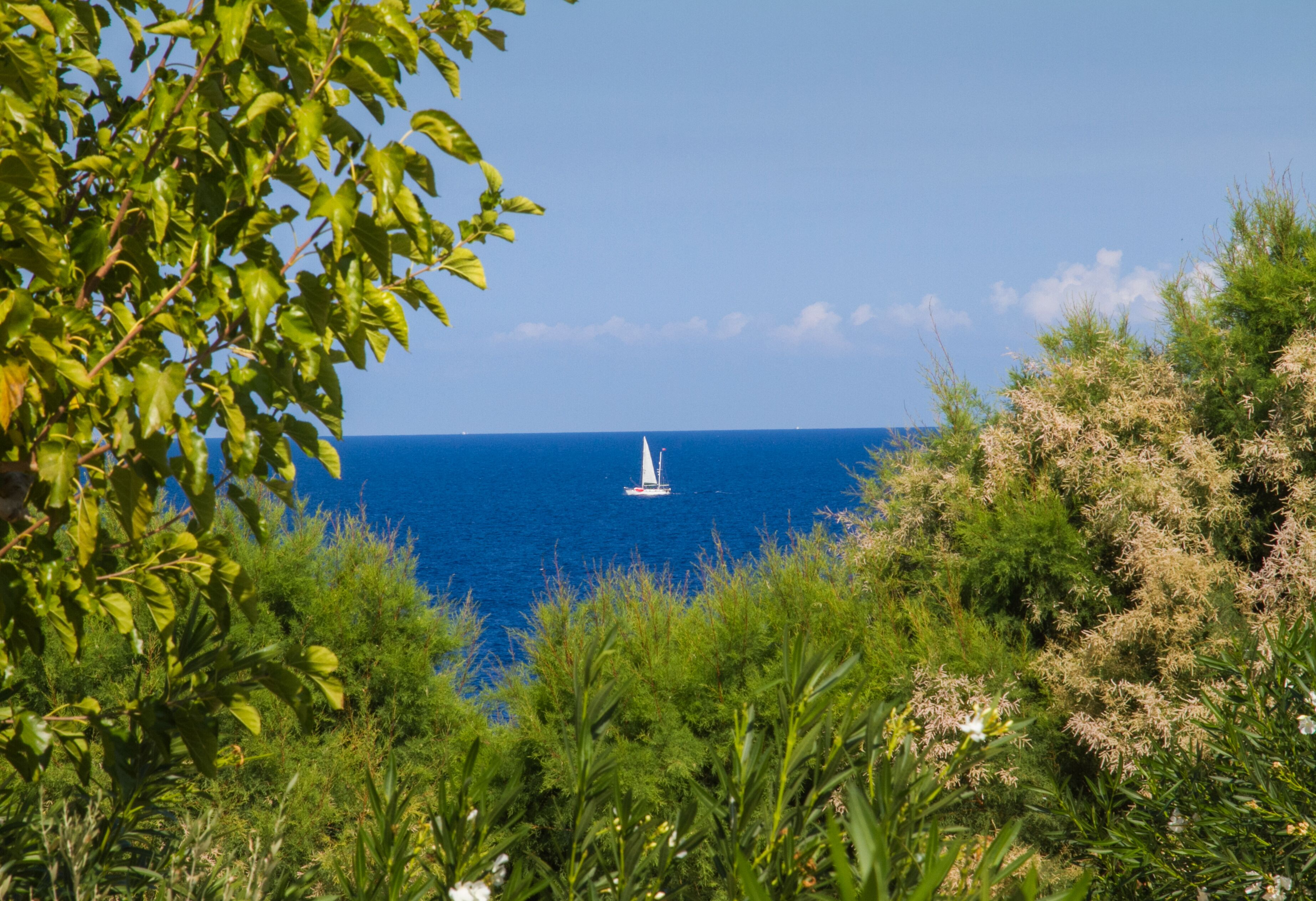 Un velero en el mar, con abundante vegetación al frente.