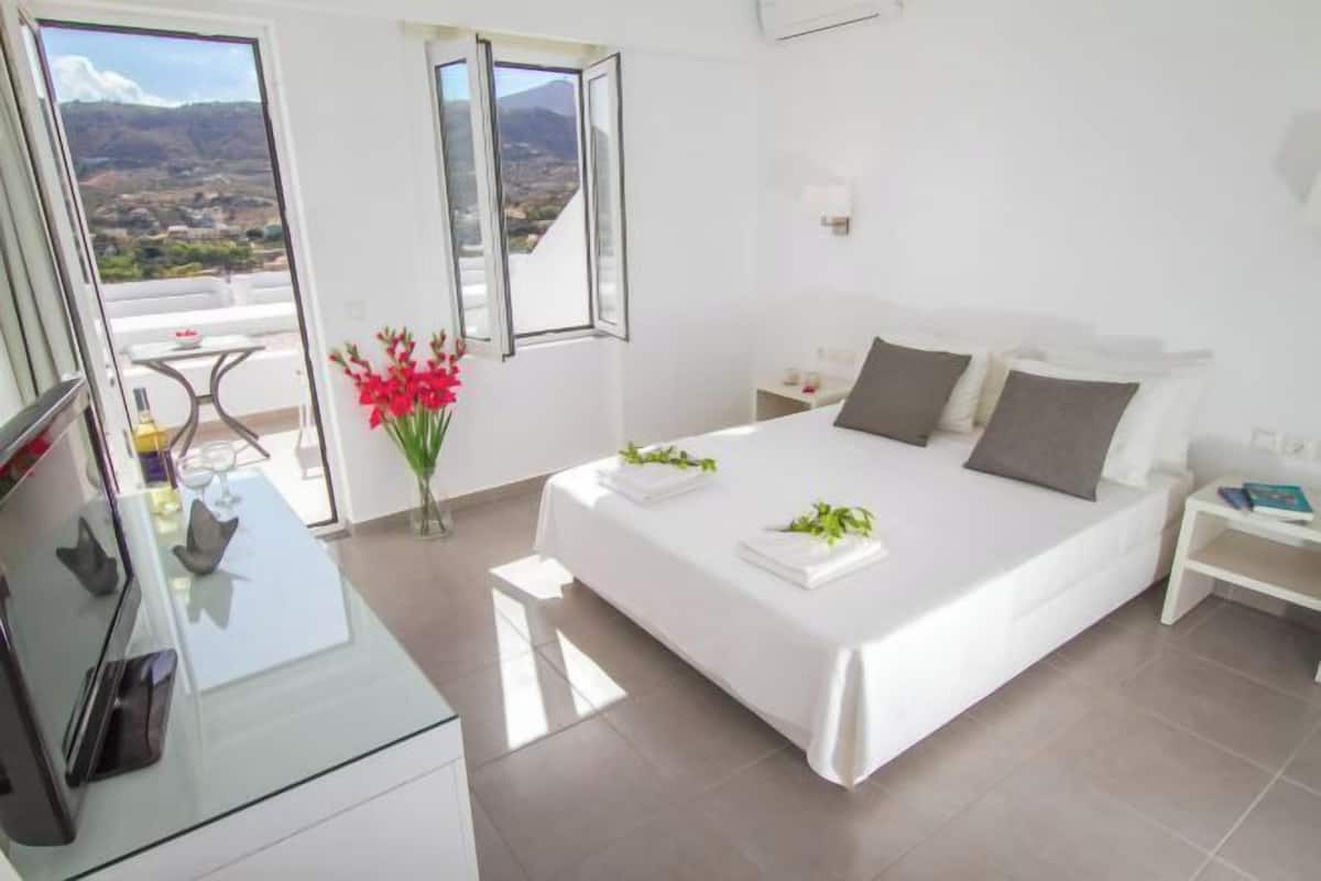 A hotel room with a bed, a TV, a desk, a nightstand, a vase with flowers, and a view of the outside.