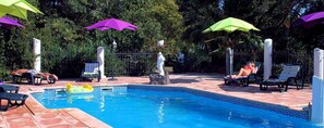 Una piscina con sillas de descanso y sombrillas, rodeada de vegetación.