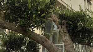 Un hôtel appelé « aberna », doté d’une architecture moderne, avec de nombreuses fenêtres et des balcons.