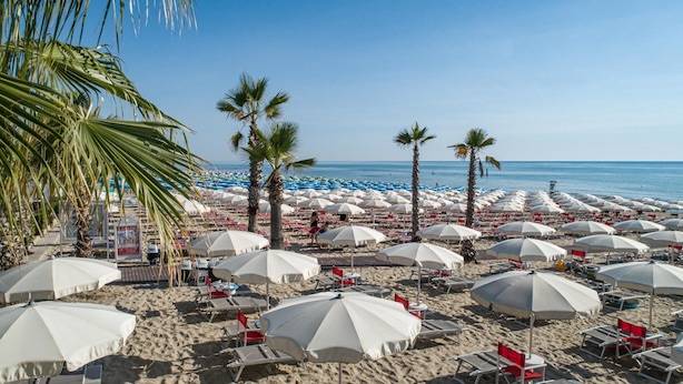 A beach with rows of umbrellas and chairs, palm trees, and a clear view of the ocean. - Relais Concorde (Grottammare)