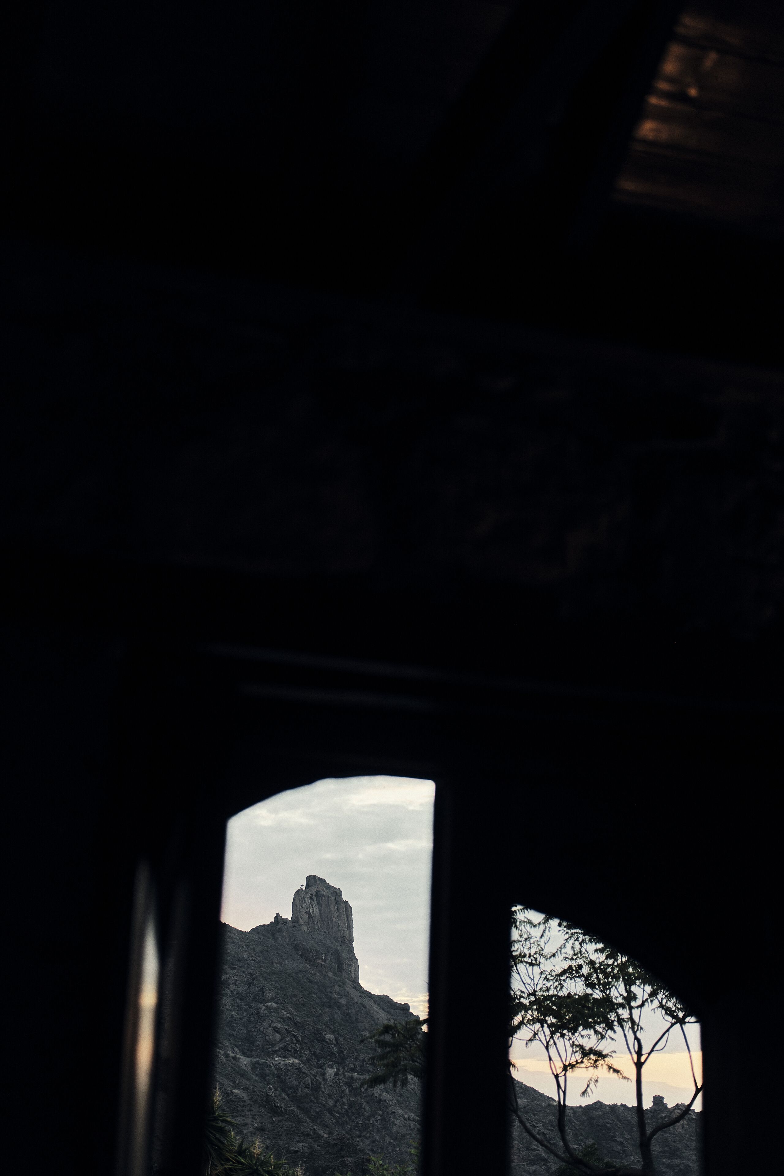 A view through a window with a mountain and a tree.
