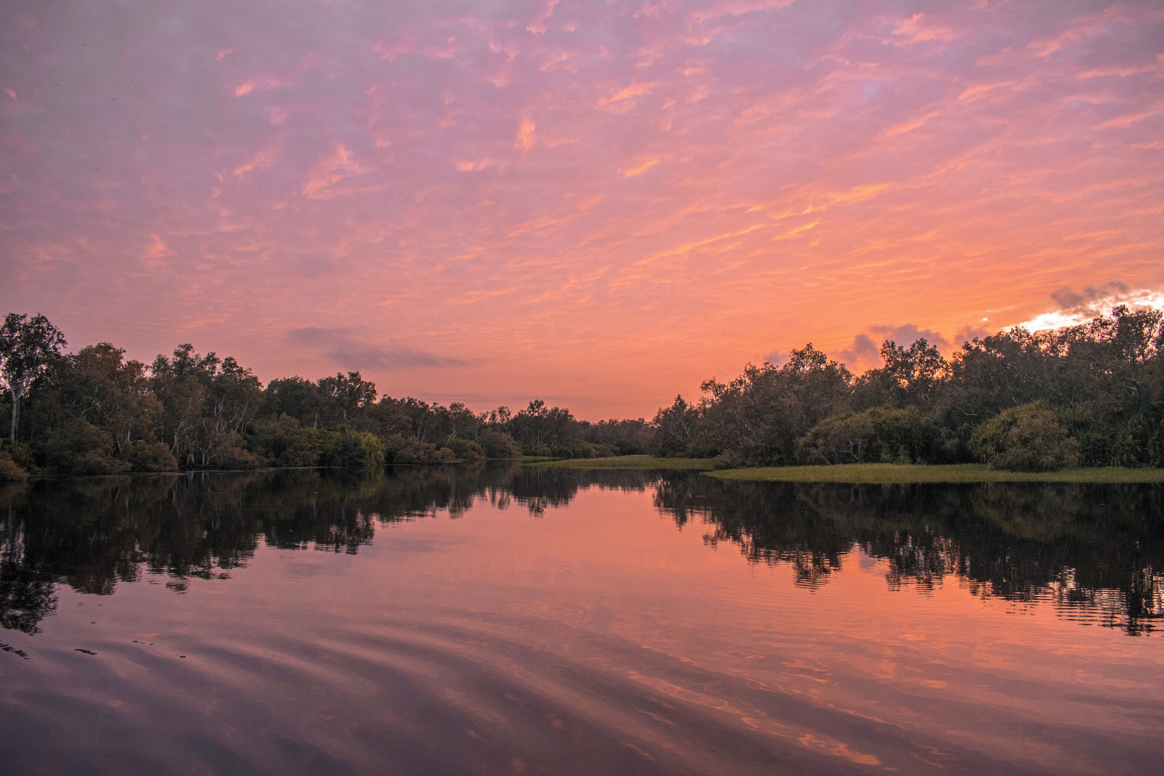 A calm lake with trees reflecting the sky.