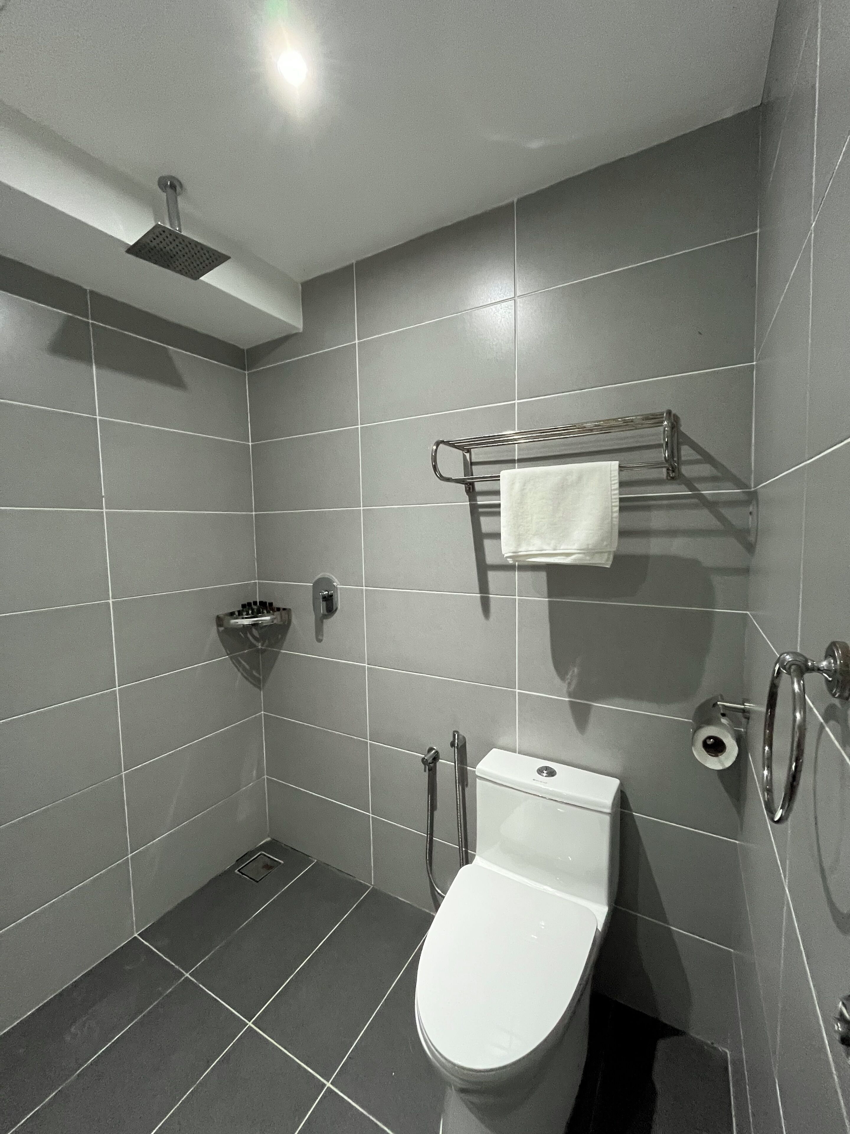 A modern bathroom with a toilet, a shower, and a towel rack.