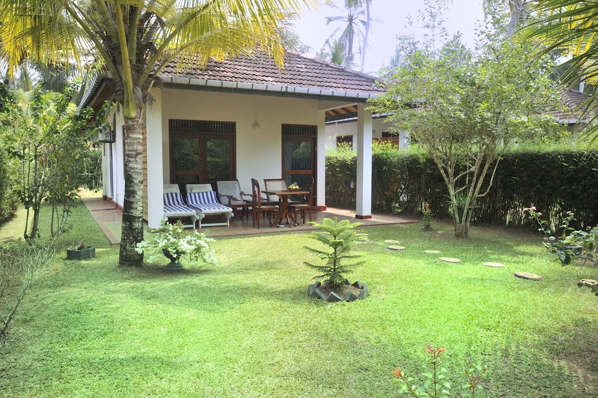 Una casa con un porche cubierto, césped y un pequeño jardín con una palmera y un bonsái.