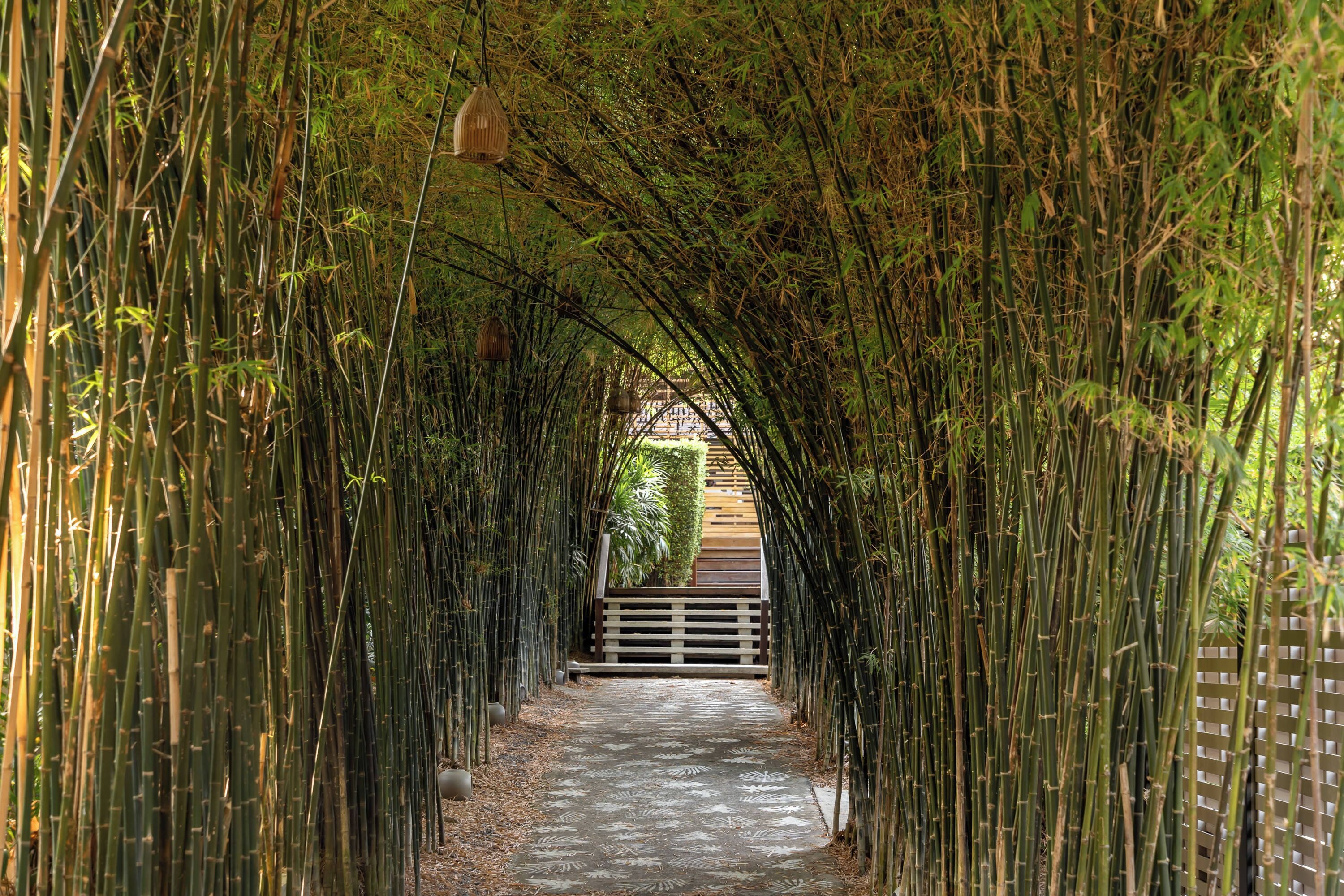 Photo - SAii Koh Samui Villas - Adult only 12 plus