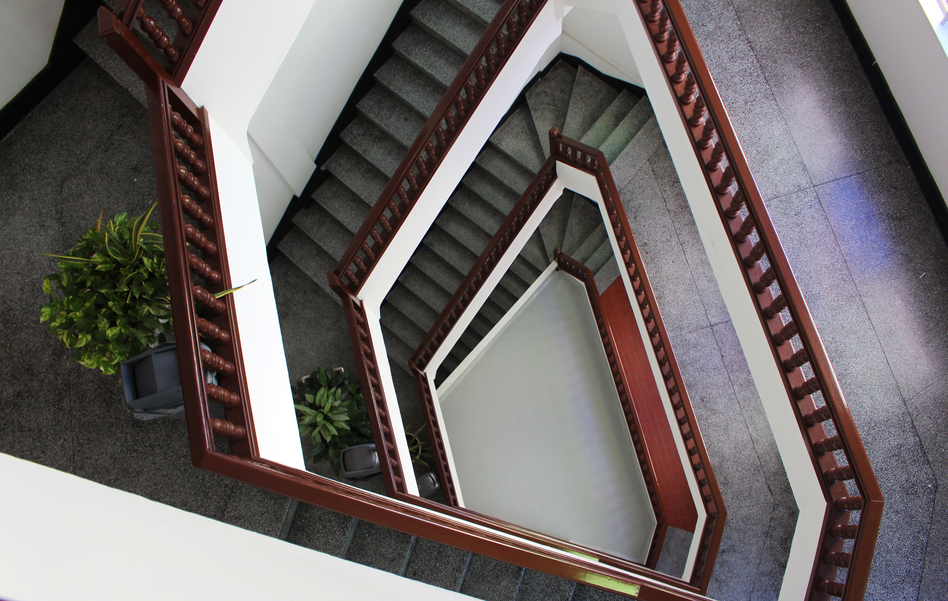 Photo - Hotel Dorado Plaza Centro Histórico