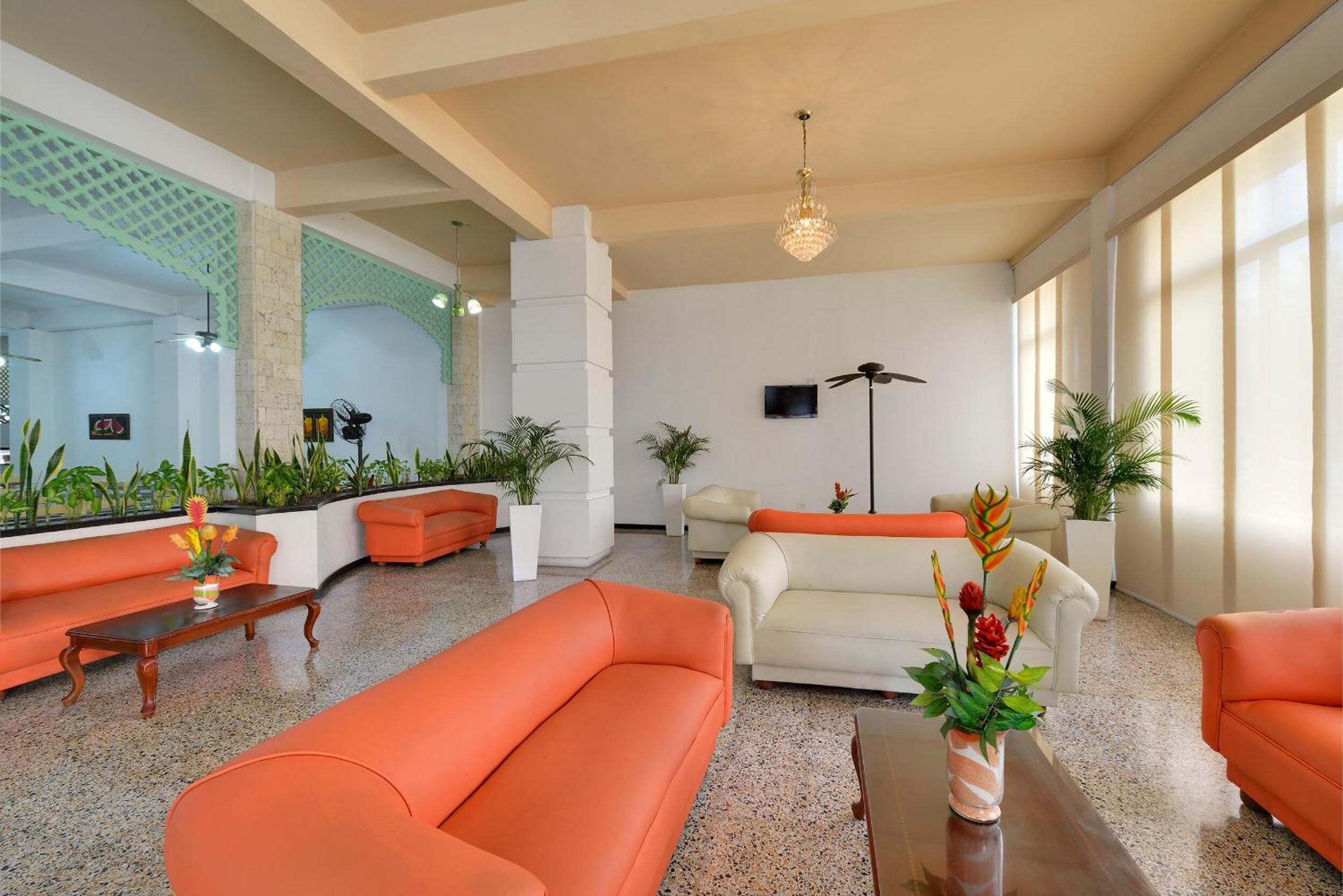 Photo - Hotel Dorado Plaza Centro Histórico