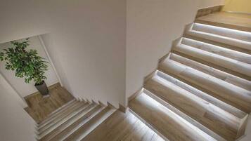 Una escalera con escalones de madera y una planta en maceta a la izquierda.