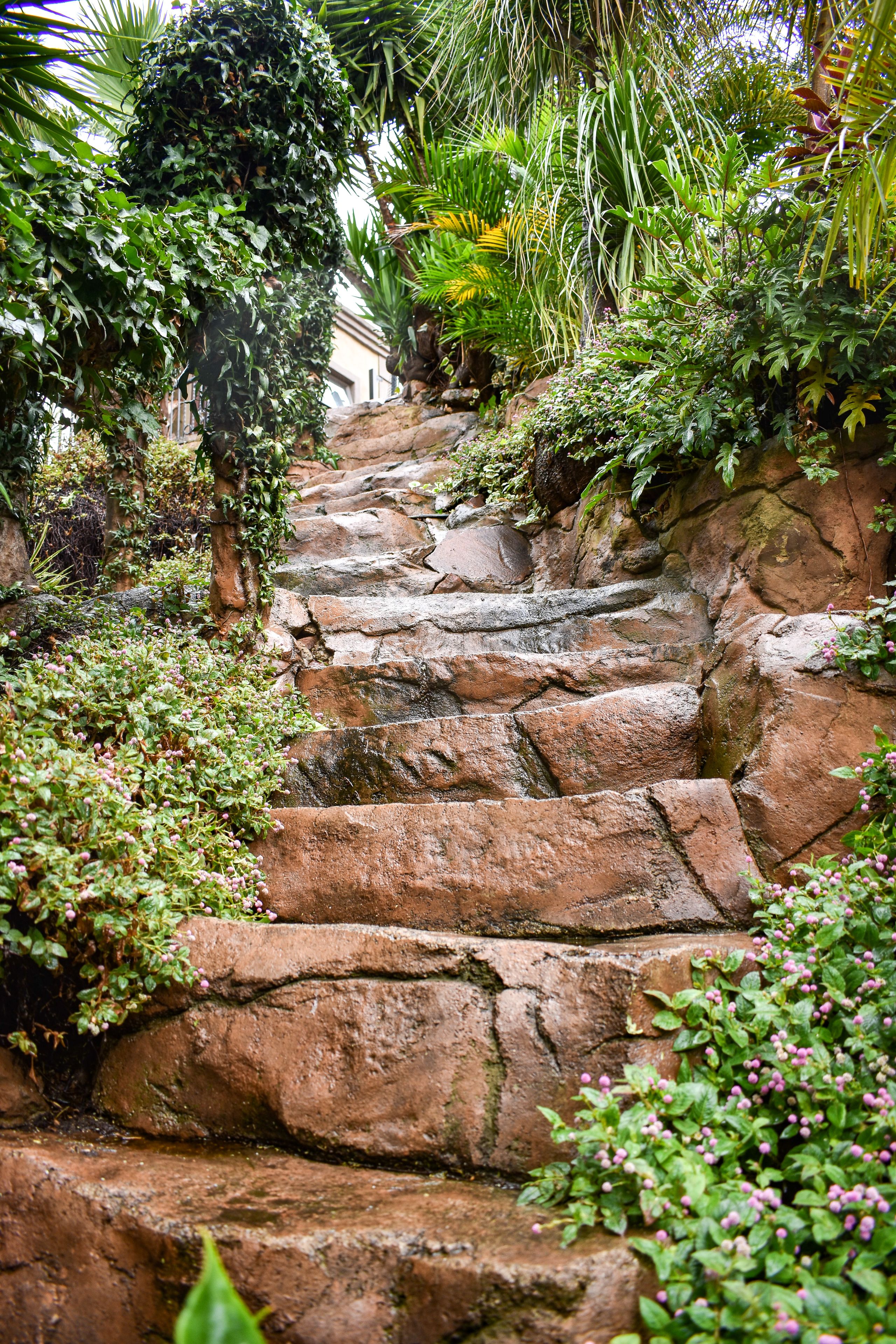 Un escalier en pierre, entouré d’une végétation luxuriante et de plantes.