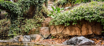 Waterfalls Boutique Hotel