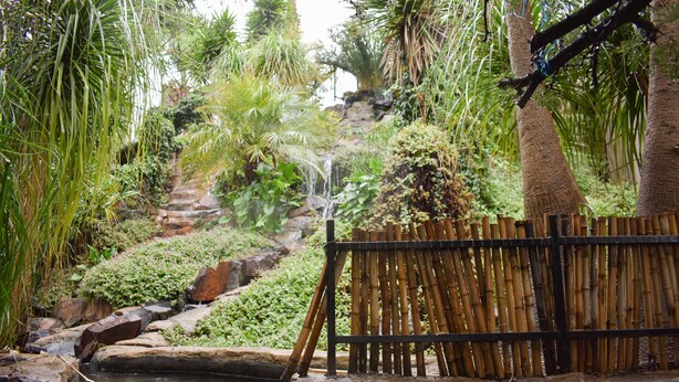 A bamboo fence, a small waterfall, and lush greenery in a garden setting. - Waterfalls Boutique Hotel (Pretoria)
