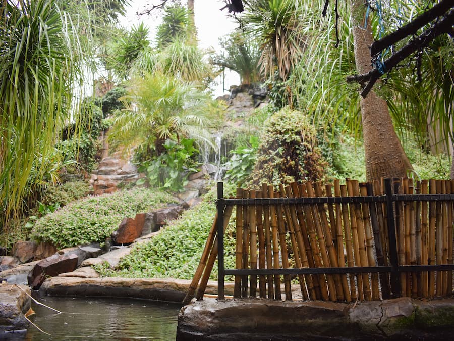 Garden view
