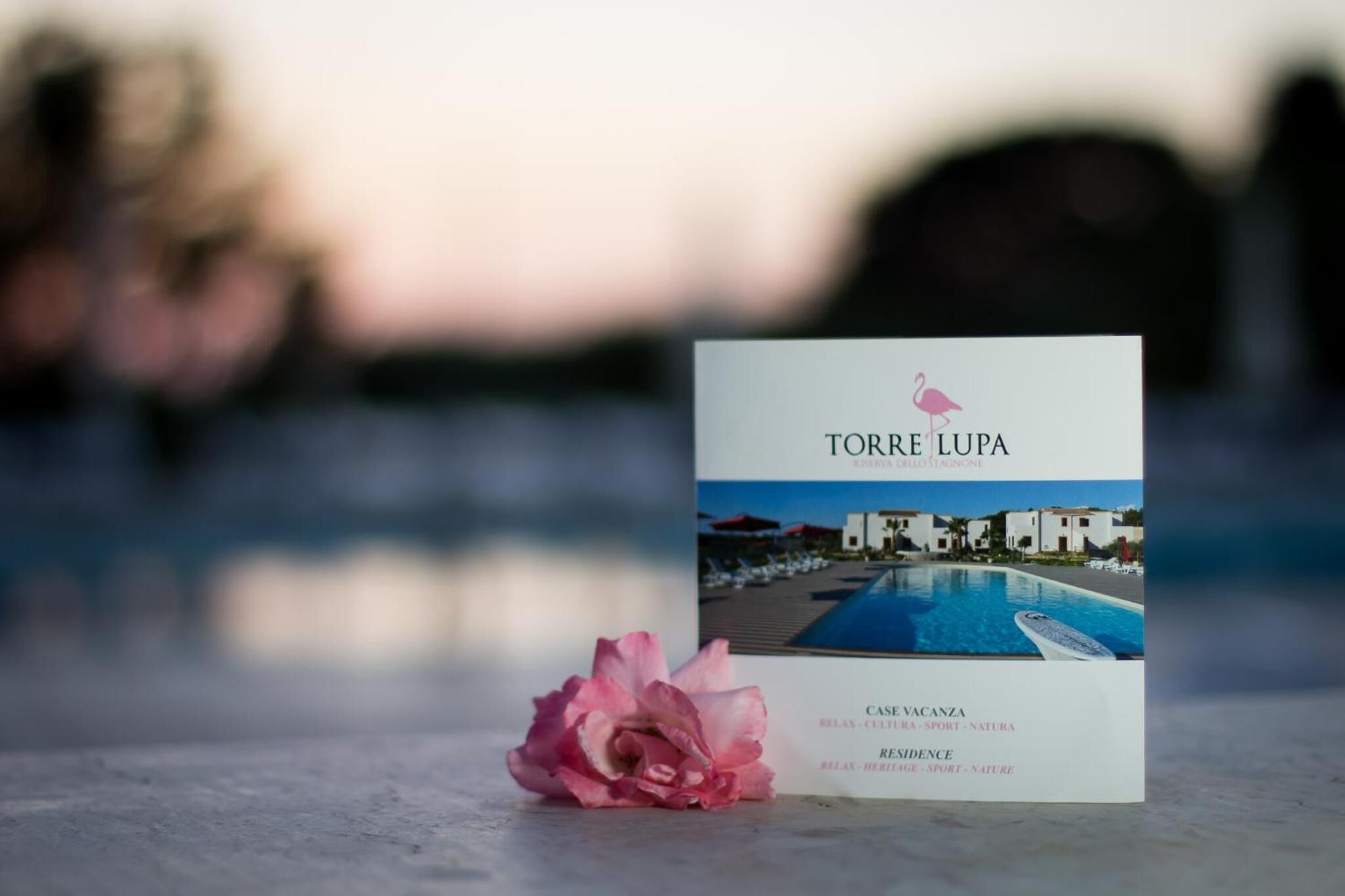 A brochure for Torre Lupa with a pool view, a rose, and text about amenities.