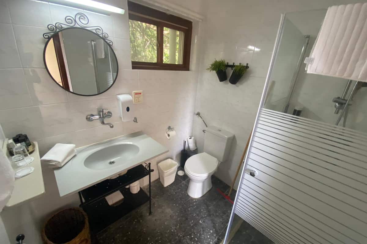 studio with jacuzzi | bathroom | shower, free toiletries, hair dryer, towels