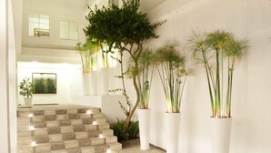 Ein modernes Interieur mit einer Treppe zu einer oberen Ebene, umgeben von hohen Kübelpflanzen und einem Schachbrettmuster-Boden.
