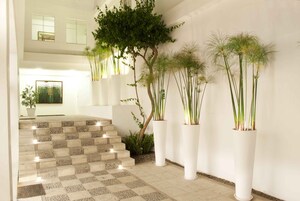 Detalle del interior