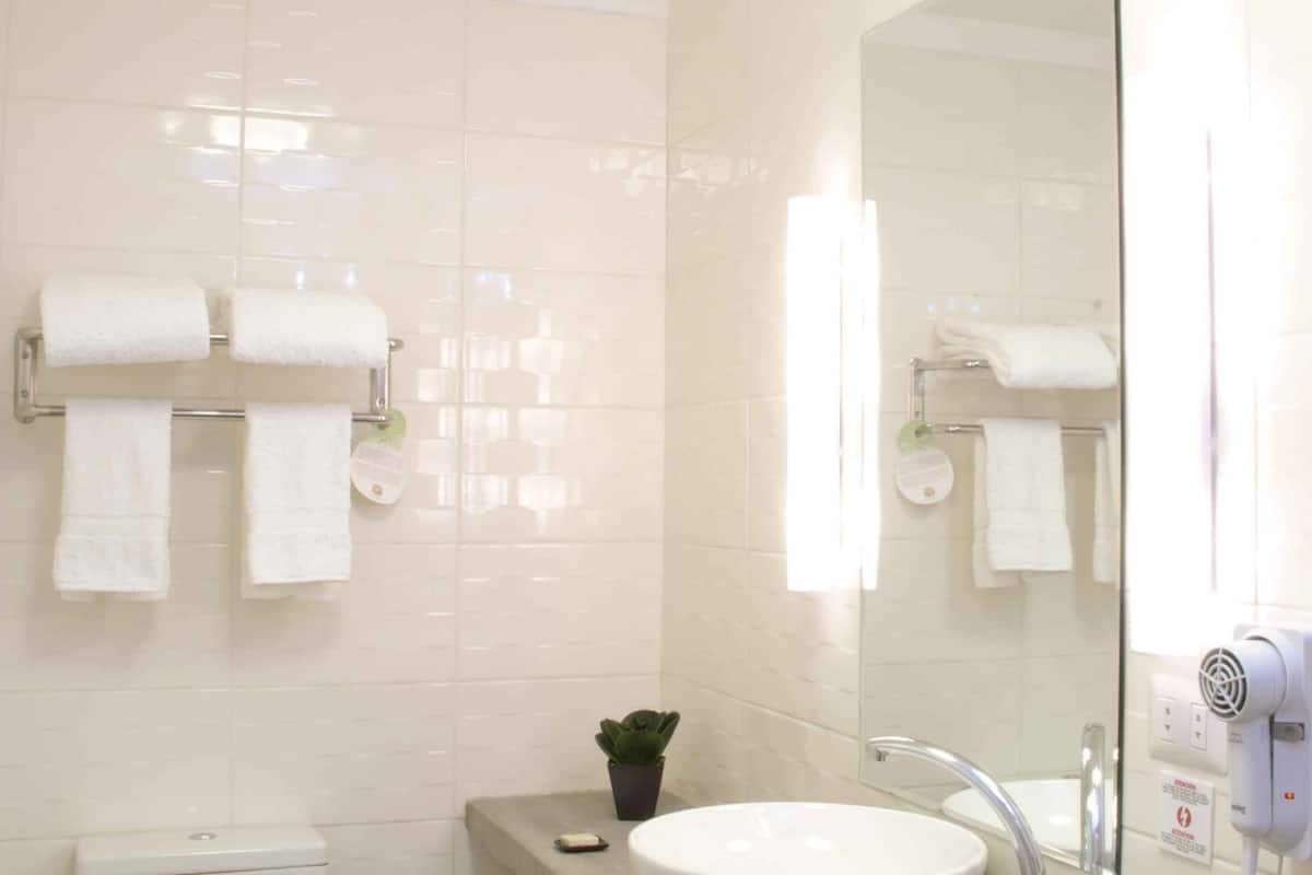 shower, free toiletries, hair dryer, towels