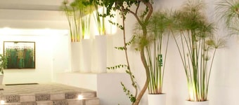 Tierra Viva Arequipa Plaza