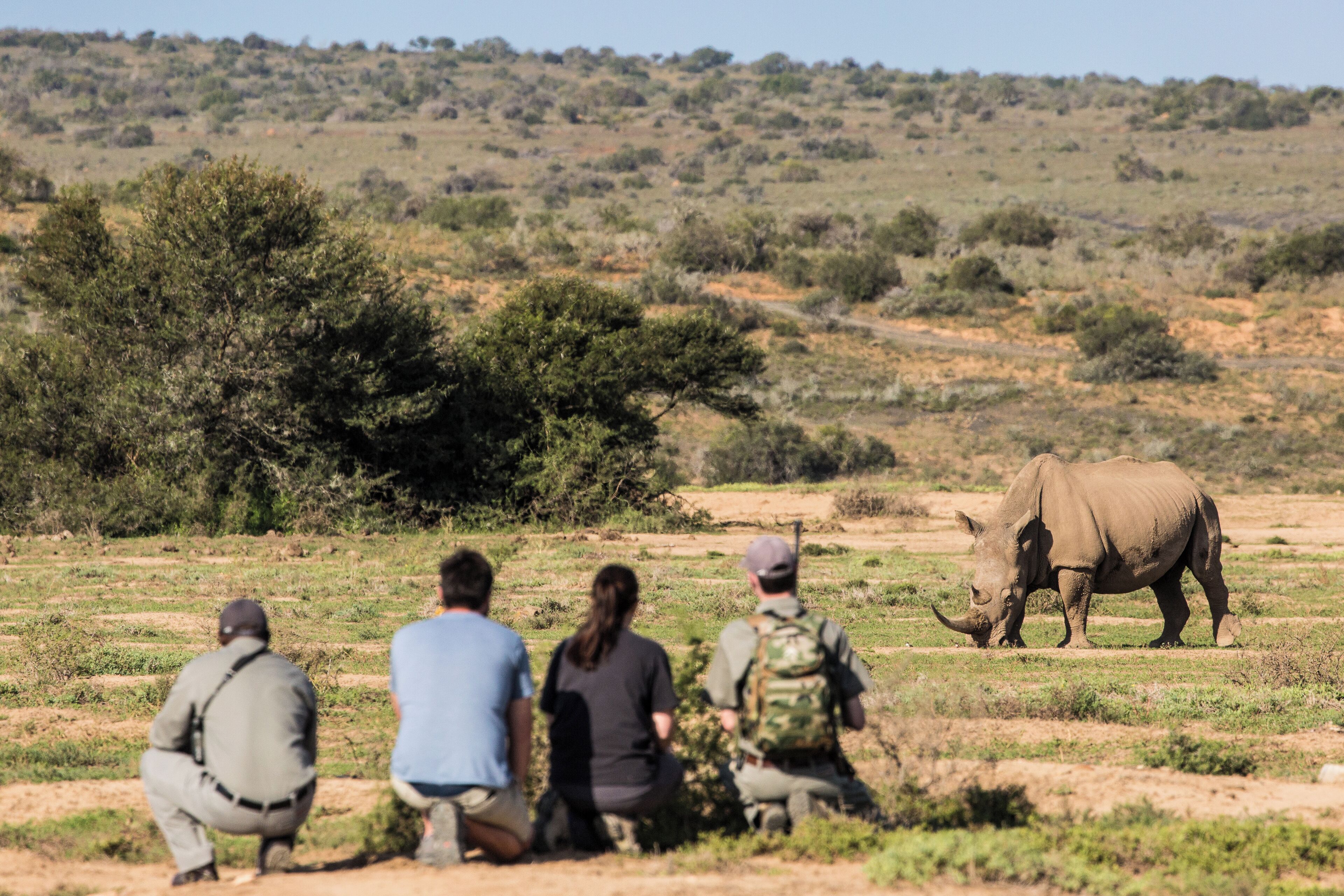 A group of people observing a rhinoceros in a natural setting.