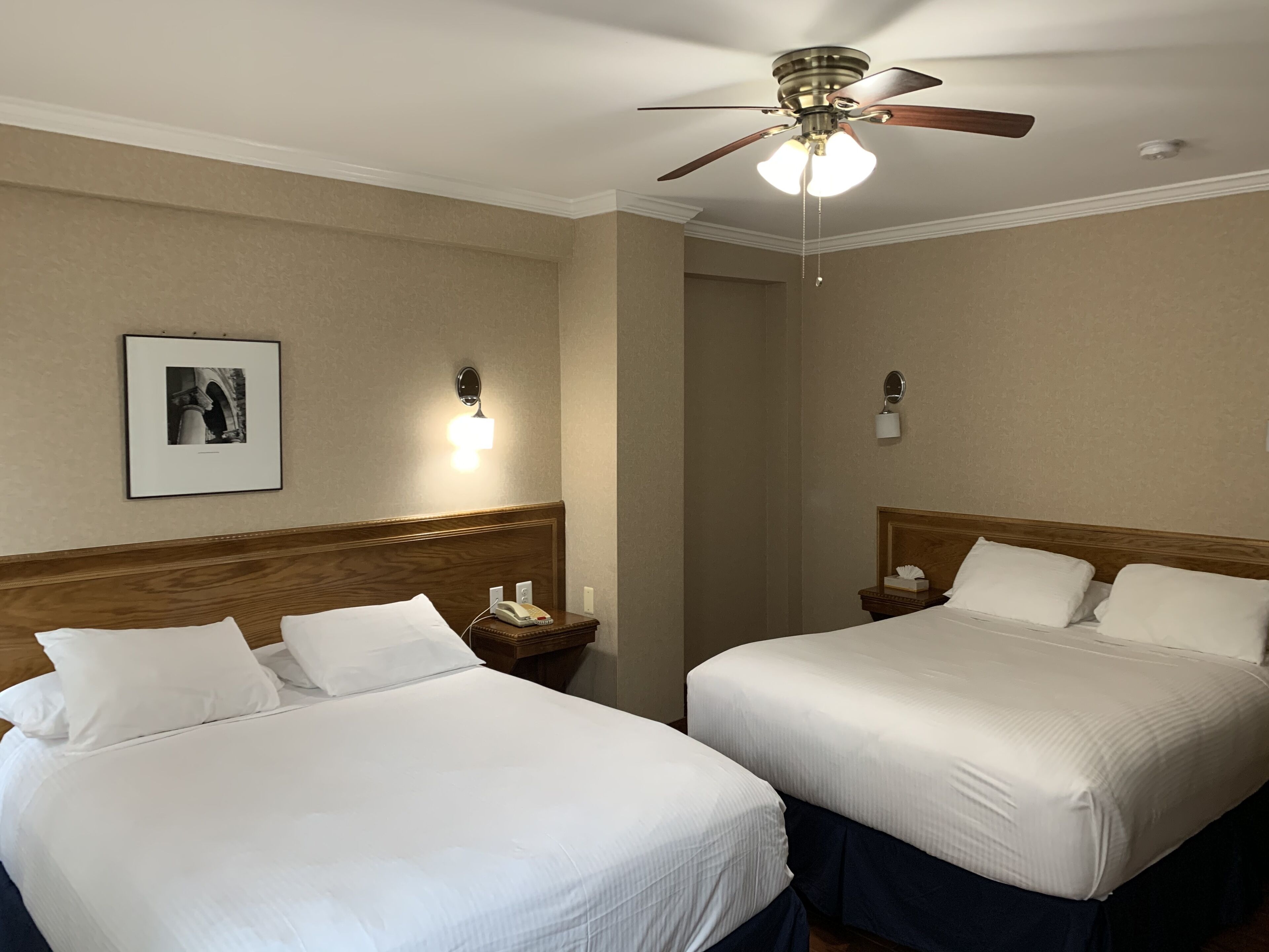 Two single beds with wooden headboards, a ceiling fan, bedside lamps, a framed picture, and a nightstand with a phone and tissues.