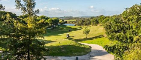 A golf course with a winding path, a pond, and a clear blue sky.