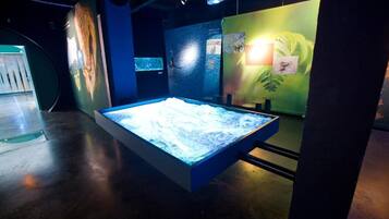 Una vitrina con frente de vidrio, posiblemente con artefactos o exhibiciones, en una sala tenuemente iluminada con piso de concreto.