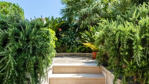 Un escalier en béton, entouré d’une végétation luxuriante, sous un ciel bleu azur.