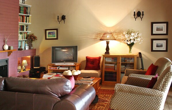 Una sala de estar con televisor, estanterías, chimenea y un sillón estampado.