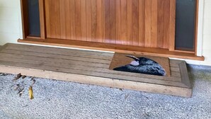Un armario de madera con cerradura digital y una cama pequeña para mascotas a su lado.