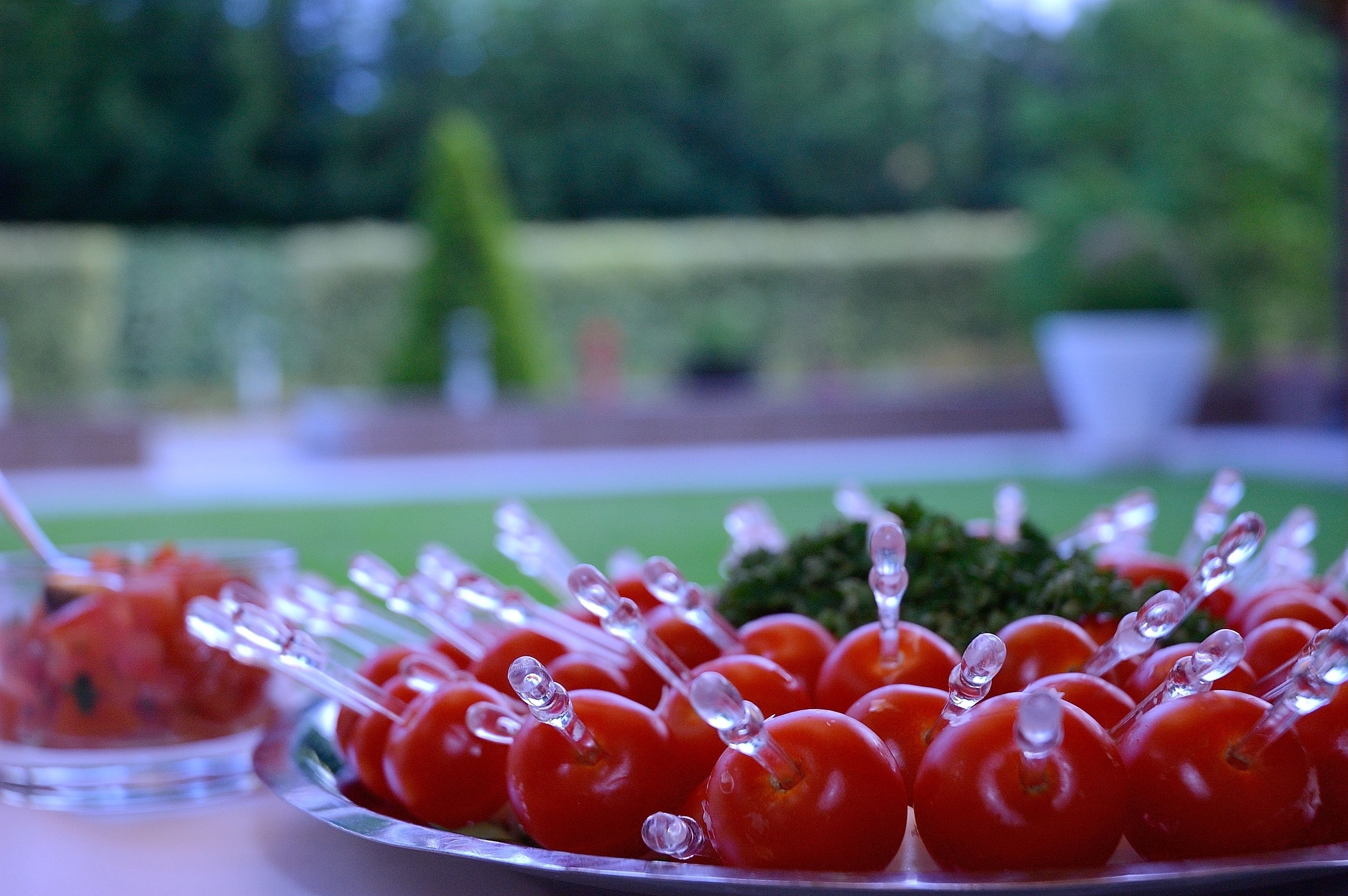 Een schaal met spiesjes tomaten, met een onscherpe tuin op de achtergrond.
