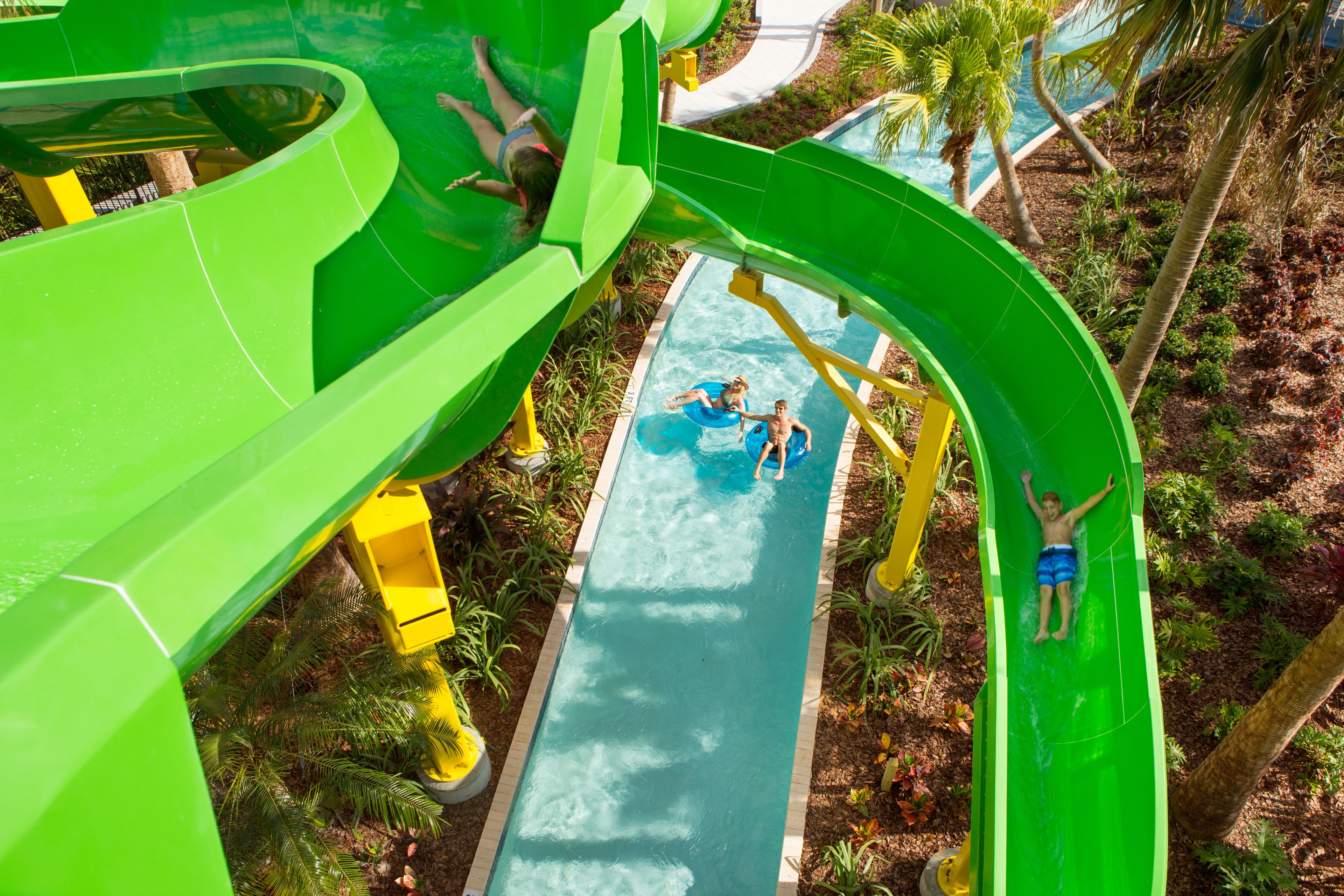 A water park with a green water slide and a pool area surrounded by palm trees.