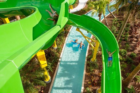 The Grove Resort Water Park Orlando - Image 83