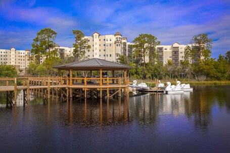 The Grove Resort Water Park Orlando - Image 22