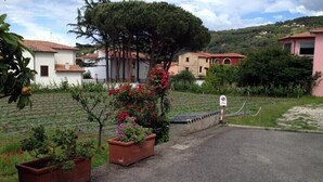 A residential area with houses, a paved road, and a no parking sign.