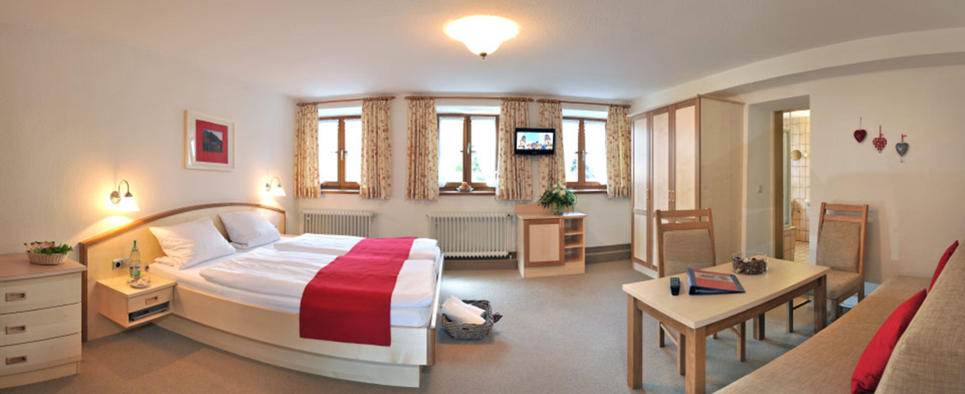 basic double room | living area | 35-inch flat-screen tv with satellite channels, tv