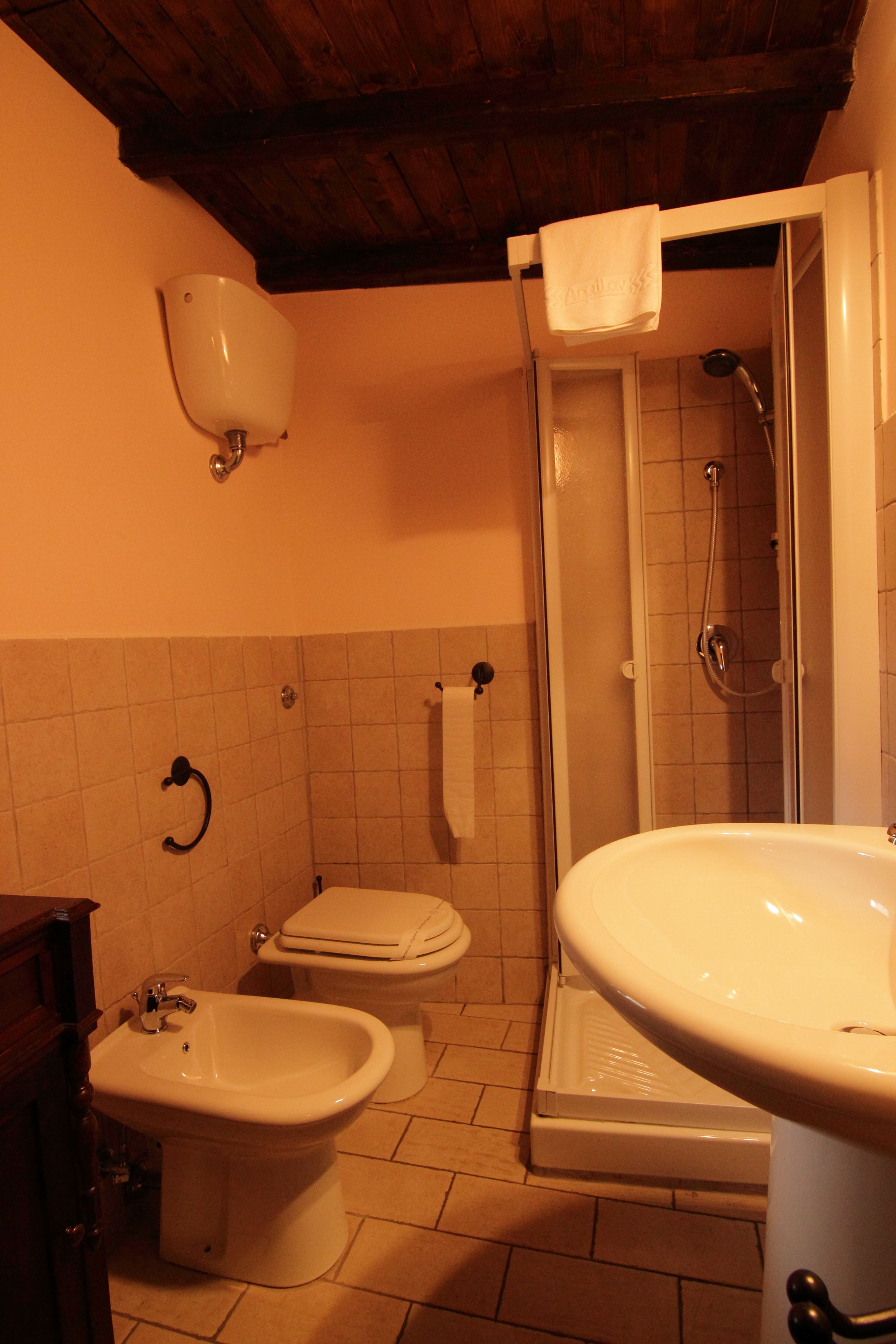 A bathroom with a shower, toilet, bidet, and sink.