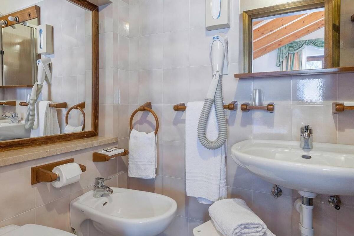 shower, free toiletries, hair dryer, bidet