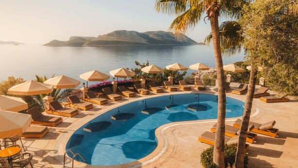 Zona de piscina con sillones de descanso y sombrillas, rodeada de palmeras y vista al mar.