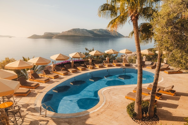 Una piscina al aire libre, sombrillas, sillones reclinables de piscina