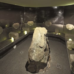 Outdoor treatment areas, sauna, hot tub, steam room, body treatments