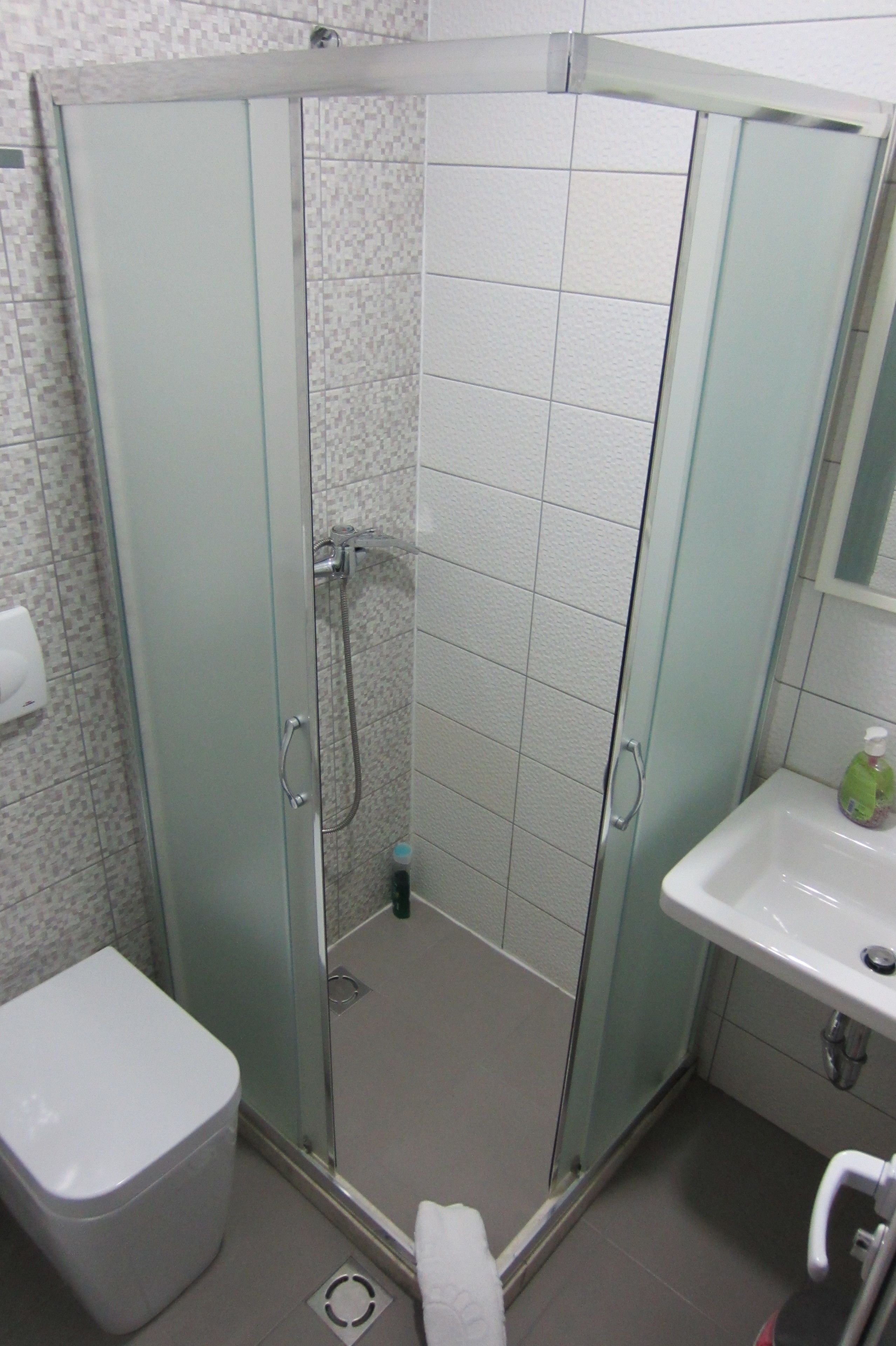 A glass-enclosed shower stall with a white toilet and sink to the right.