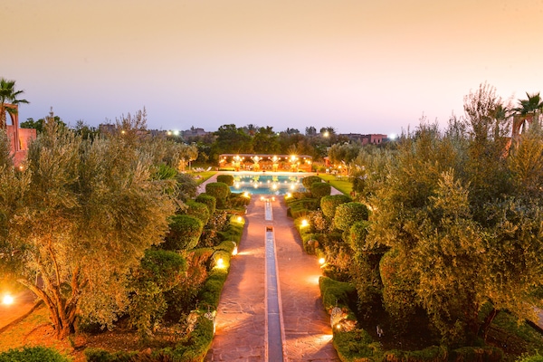 Suite ejecutiva | Vista al jardín