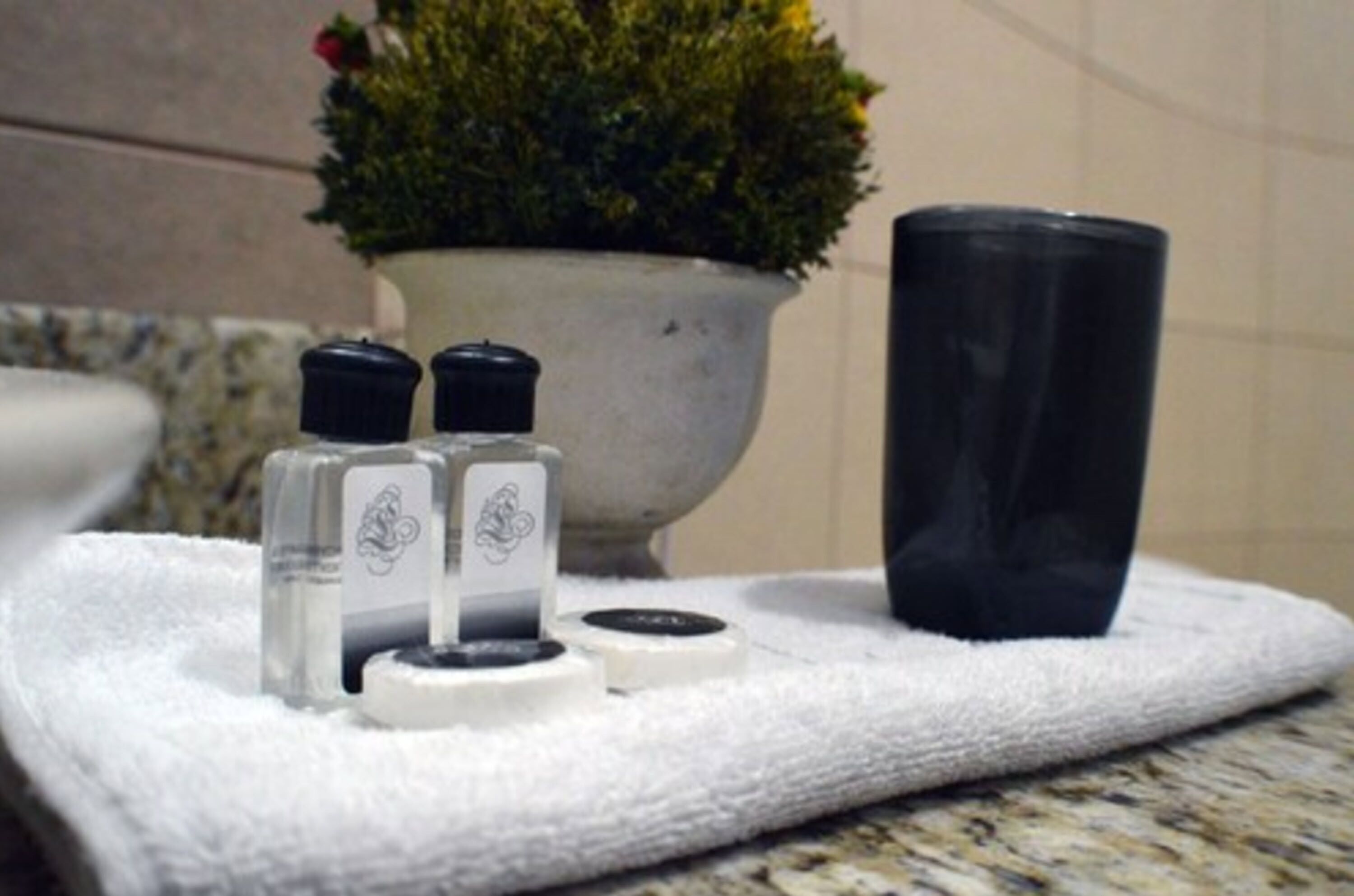 Photo - Hotel Casa Colon