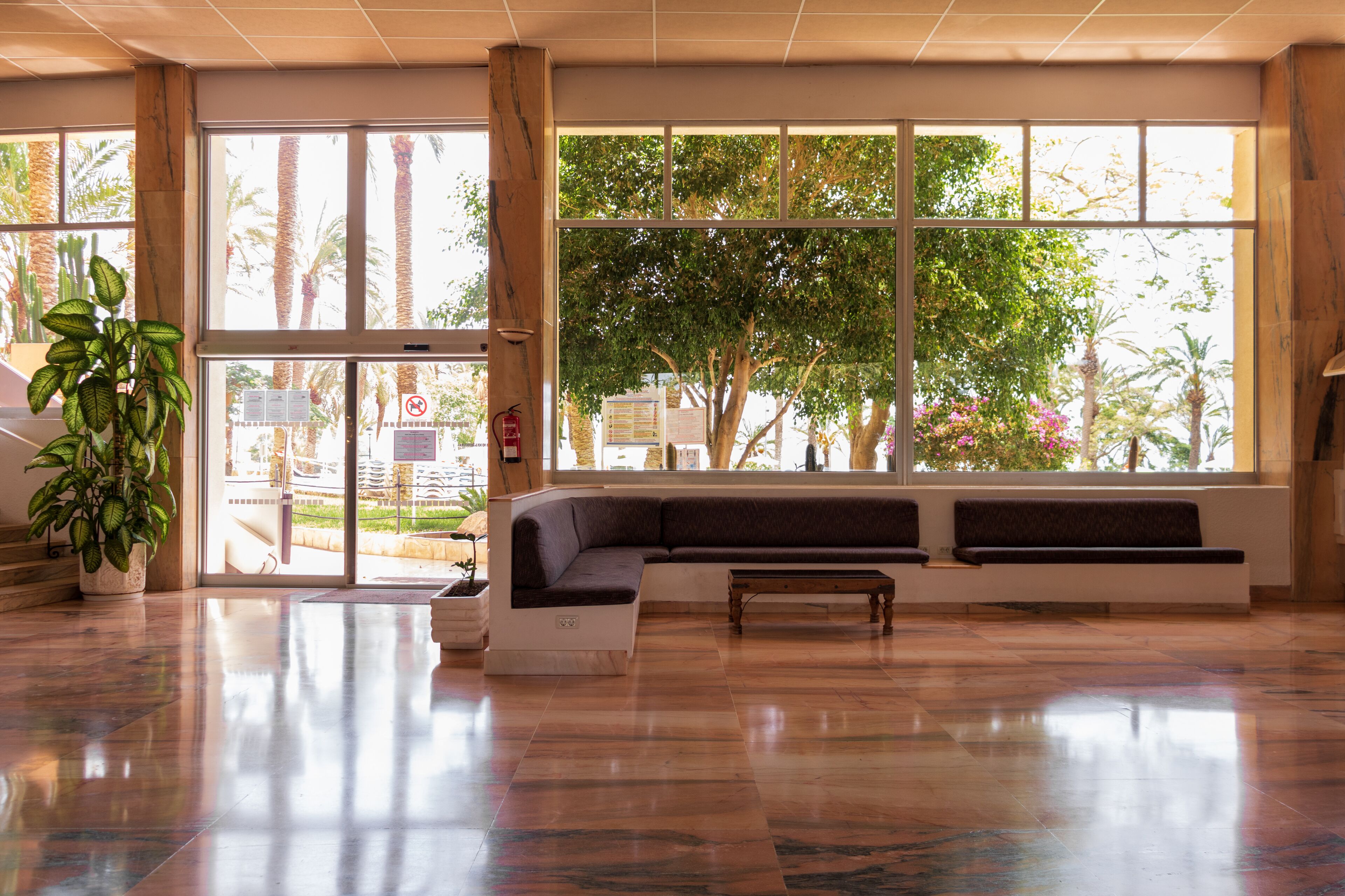 Um hall amplo com uma grande janela, um espaço de estar e um vaso de planta.