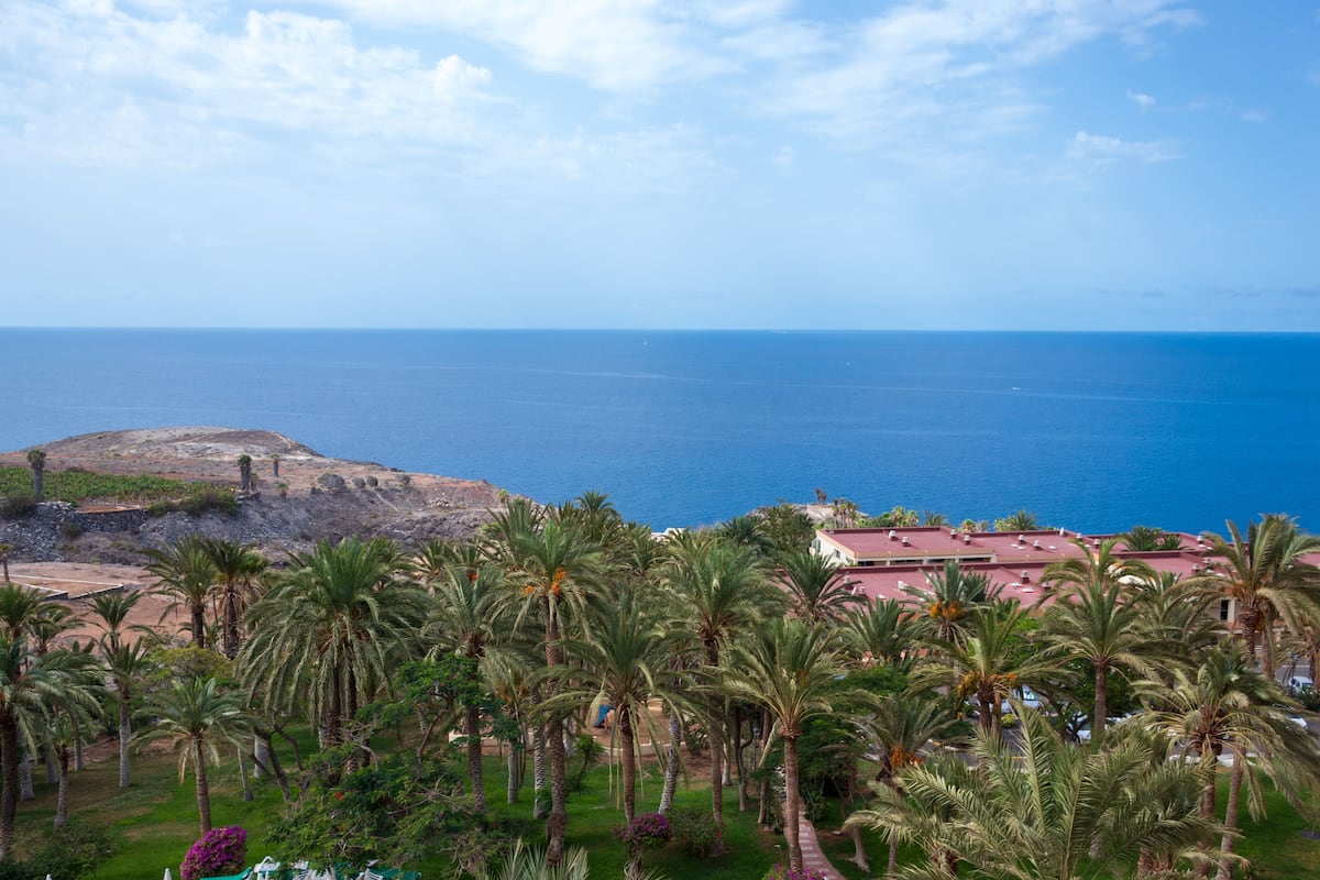 A coastal view with palm trees, a building with a red roof, and the ocean in the background.
